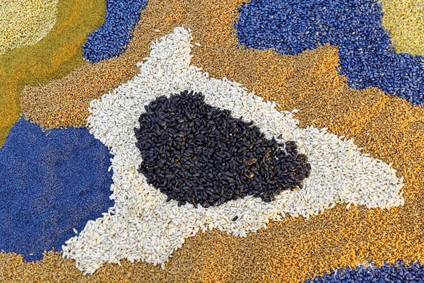 Sementes de grãos — Fotografia de Stock