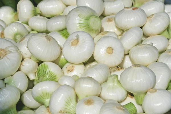 Onions — Stock Photo, Image