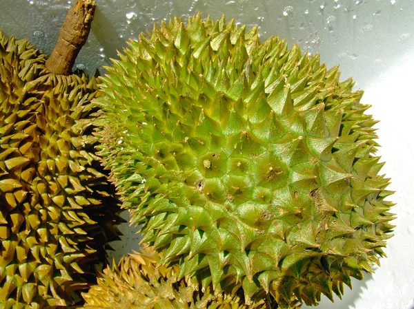 Durian — Zdjęcie stockowe