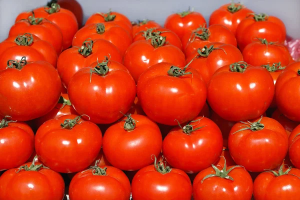 Tomato — Stock Photo, Image