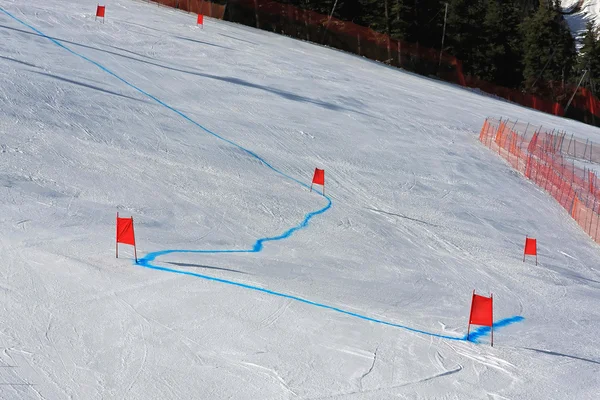 Büyük slalom — Stok fotoğraf