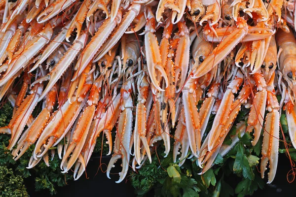 Норвегія омарів кігті — стокове фото
