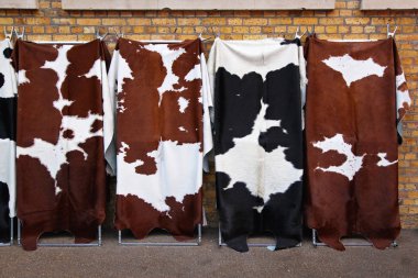 Cowhides