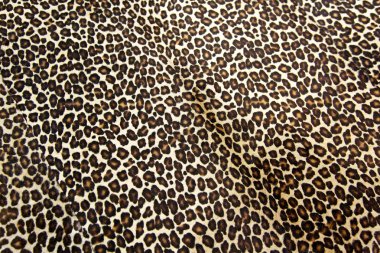 leopar arka plan