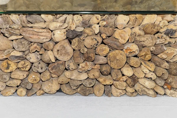 Versteinertes Holz — Stockfoto