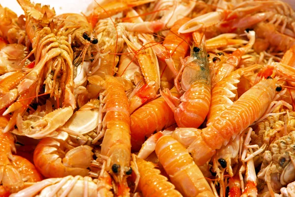 Shrimp — Stock Photo, Image