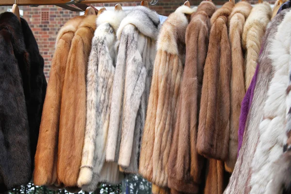 Fur clothing — Stock Photo, Image
