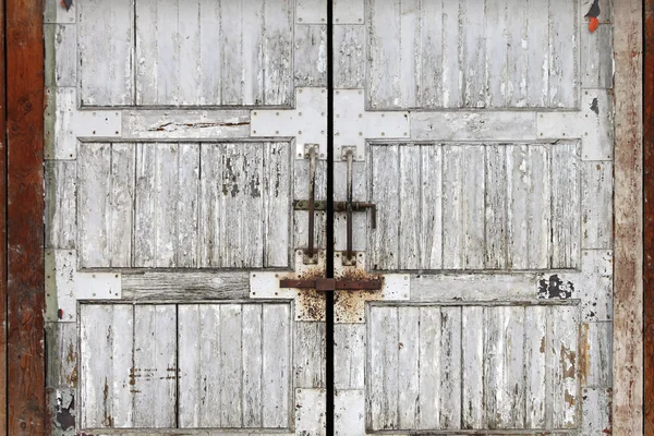 Grunge doors — Stock Photo, Image