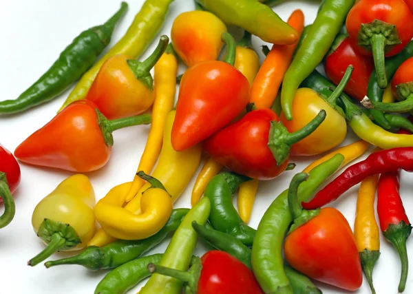 Pimientos chile — Foto de Stock