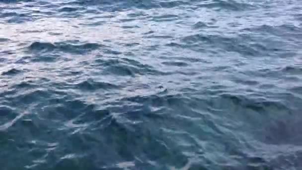 Eau de mer 