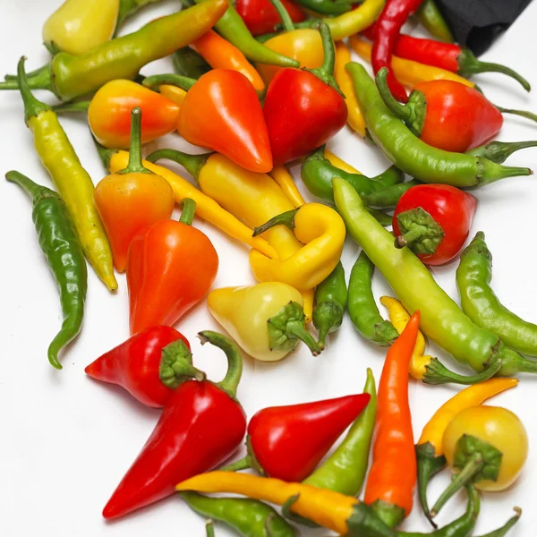 Chilipfeffer — Stockfoto