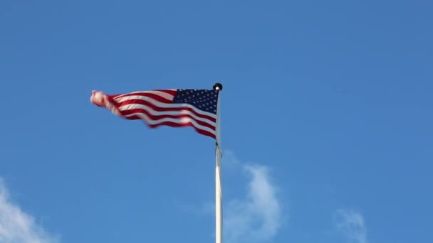 Bandera americana — Vídeos de Stock