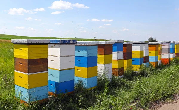 Bijenkorven — Stockfoto