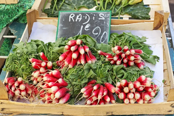 Radish — Stock Photo, Image