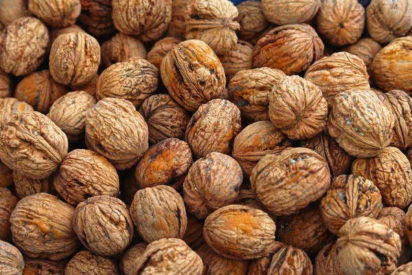 Walnuts — Stock Photo, Image