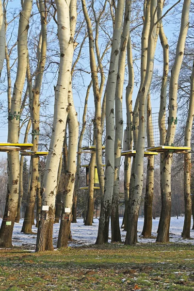 Survival training camp — Stock Photo, Image