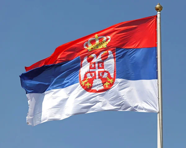 Serbian flag — Stock Photo, Image