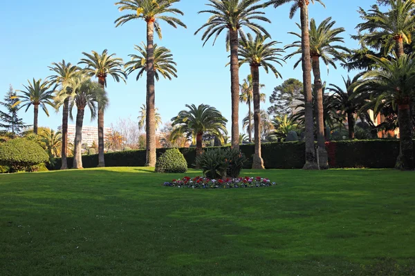 Giardino delle palme — Foto Stock