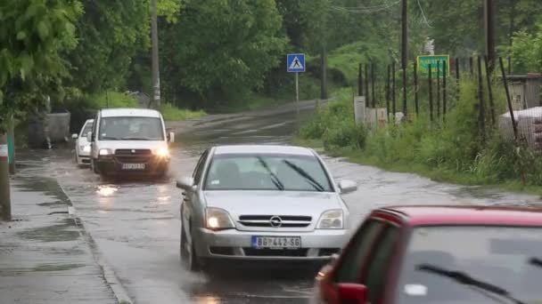 Hochwasser — Stockvideo