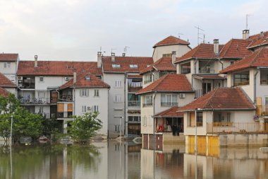 obrenovac sel
