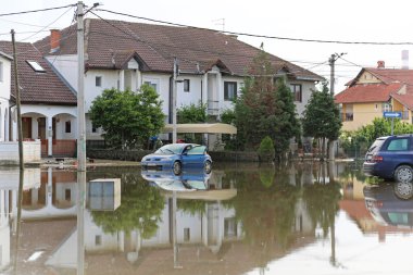 obrenovac sokak