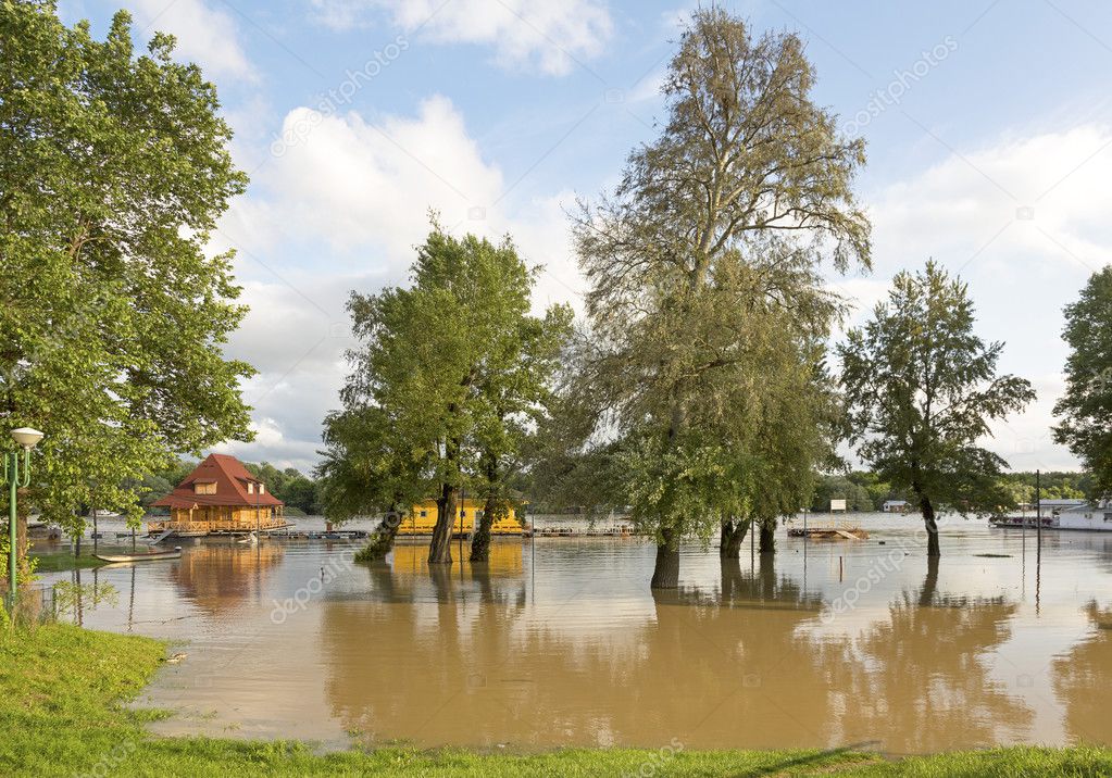 Sava River flood
