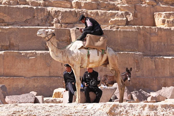 Antiques police Egypt — Stock Photo, Image