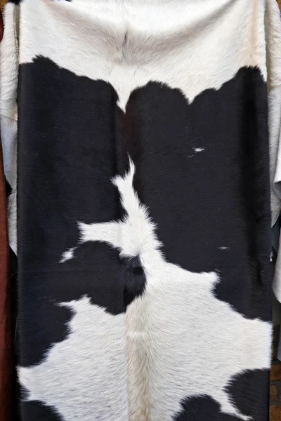 Couro de vaca — Fotografia de Stock