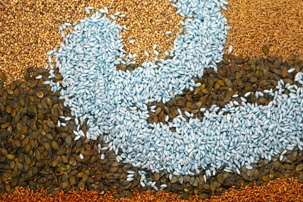 Semințe — Fotografie, imagine de stoc