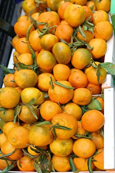 マンダリン オレンジ — ストック写真