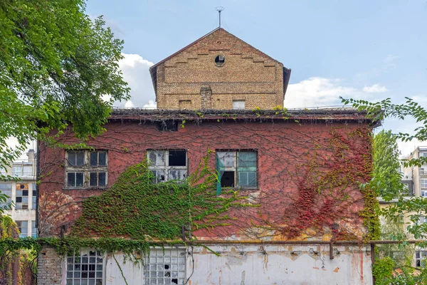 Fachada Abandonada Edifício Casa Coberta Com Plantas Rambler — Fotografia de Stock