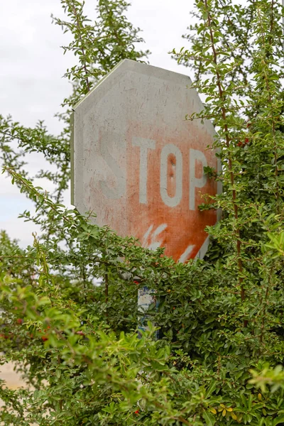 Obscure Traffic Sign Stop Bedekt Met Struiken — Stockfoto