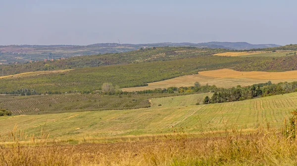 Campi Colline Naturali Della Serbia Rurale Durante Giornata Estiva Paesaggio — Foto Stock