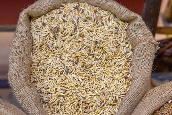 麻袋中燕麦的农业收获 — 图库照片