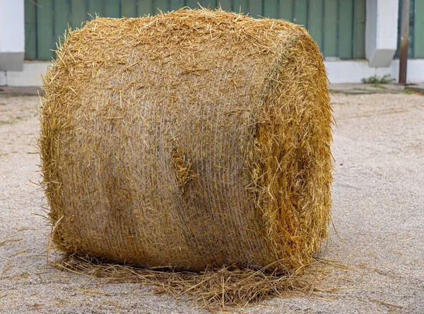One Big Hay Bale Straw Silage Farm — Stock Photo, Image