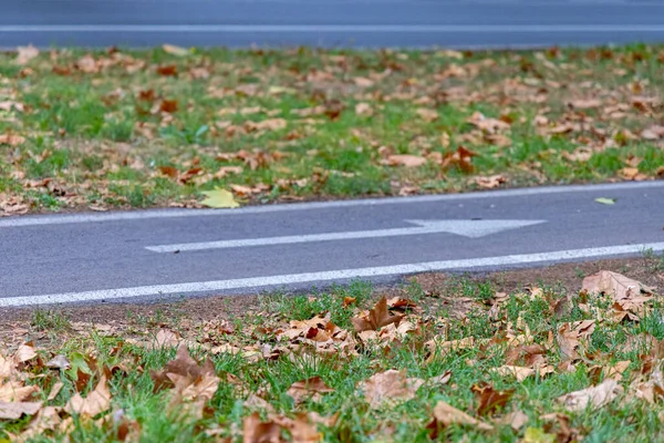 秋には自転車道レーンアロースルーパーク — ストック写真