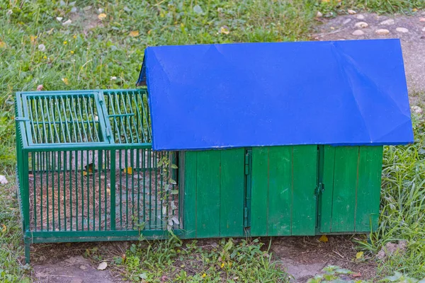 Green Chicken Coop Blue Roof Garden — Stock Photo, Image