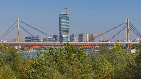 Puente Colgante Ferroviario Sobre Río Sava Belgrado Serbia —  Fotos de Stock