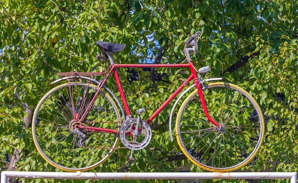 Ein Rotes Sportfahrrad Auf Pole — Stockfoto