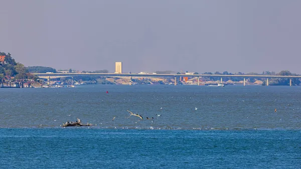 Zemun Daki Mavi Tuna Nehri Üzerindeki Uzun Köprü Mihajlo Pupin — Stok fotoğraf