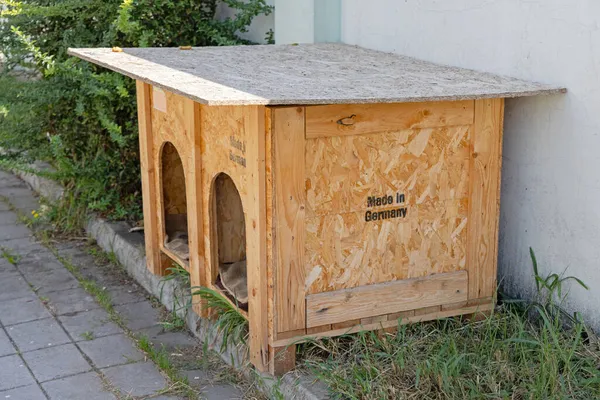 Dois Cães Casa Feita Alemanha Partir Madeira Reciclada — Fotografia de Stock