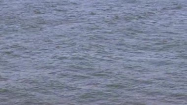 Rüzgarlı bir günde Tuna Nehri Mavi Su Yüzeyi