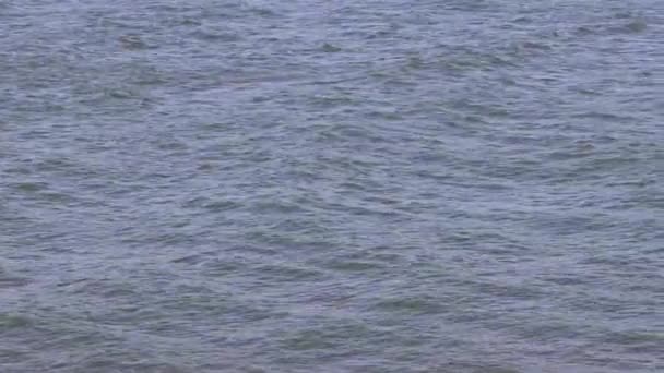 바람부는 다뉴브강의 — 비디오
