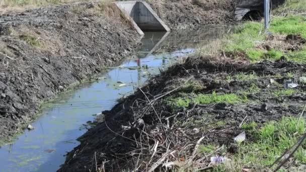 Carretera Artificial Lado Del Canal Drenaje Agua Protección Contra Inundaciones — Vídeos de Stock