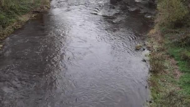 Kis Folyami Vízfolyás Kamenica Nyugat Szerbiában Ősz — Stock videók