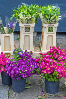 Çiçekçinin Önünde Taze Çiçek Buketleri