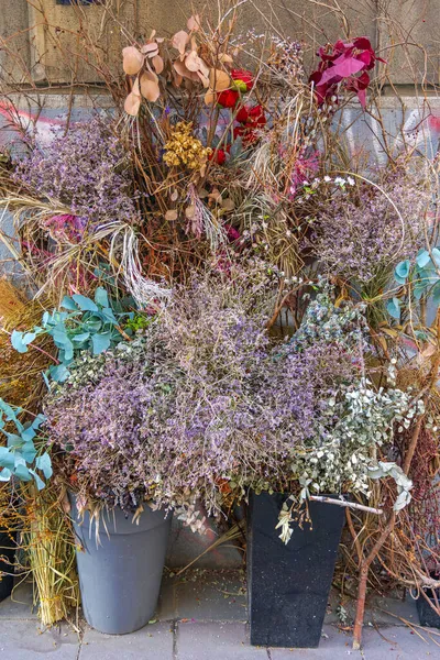 Πολύχρωμα Τρομακτικά Ξηρά Λουλούδια Μπροστά Από Σπίτι — Φωτογραφία Αρχείου