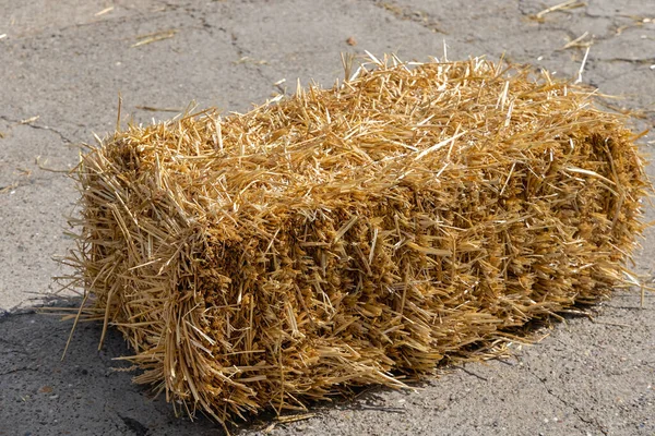 One Square Shape Yellow Straw Hay Bale Animal Feed — Stock Photo, Image