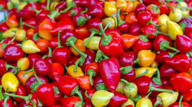 Bir demet renkli karışık acı biber.