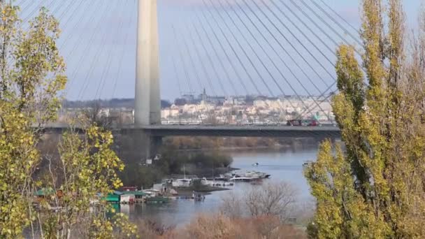 贝尔格莱德Ada悬索桥混凝土塔塞尔维亚倾斜 — 图库视频影像